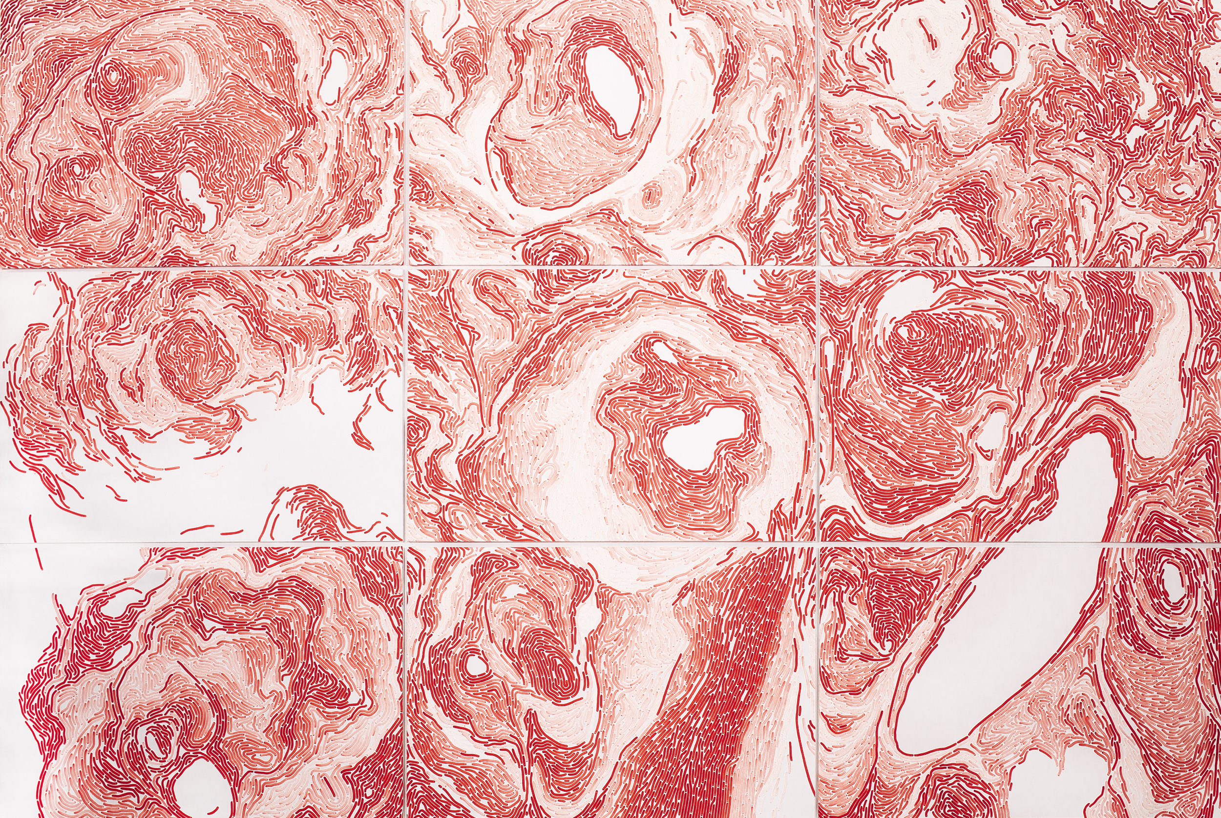 Árbol de familia IX