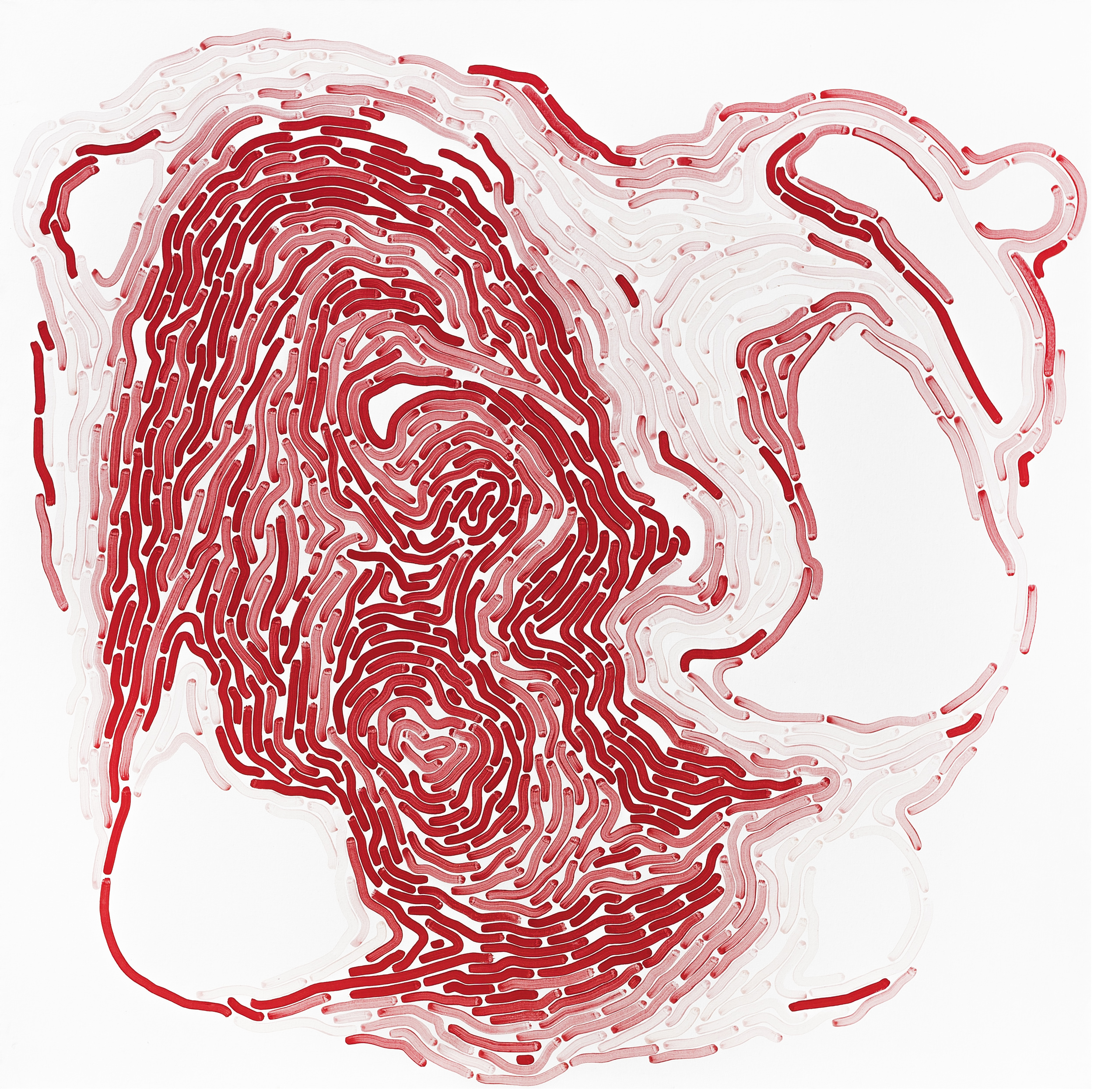 Árbol de familia XVI